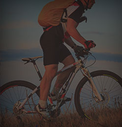 A mountain biker riding through a golden field
